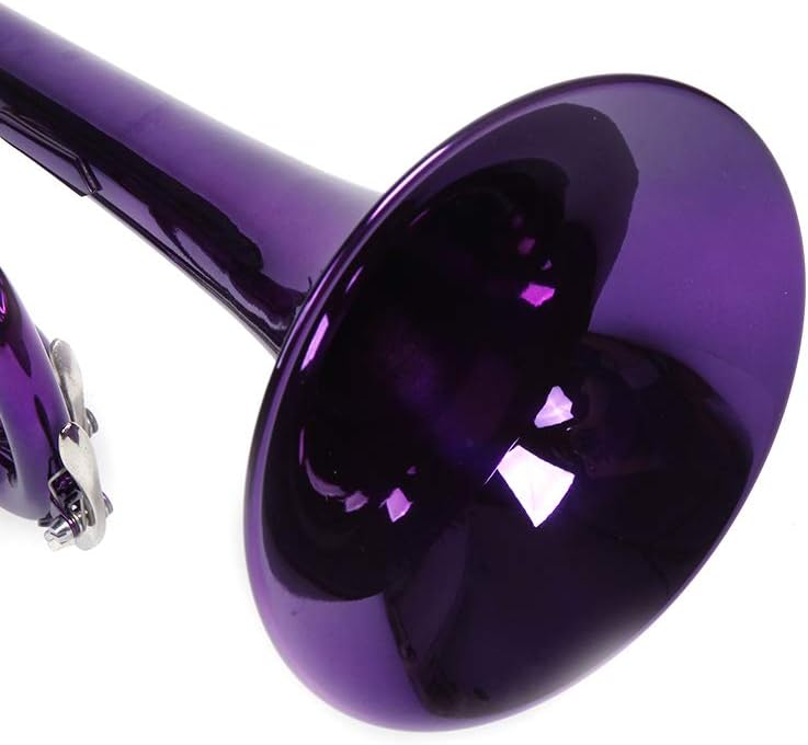 Kcelarec Brass Standard B Trumpet Instrument with Case,Gloves, for Student Beginner (Purple) - Image 5